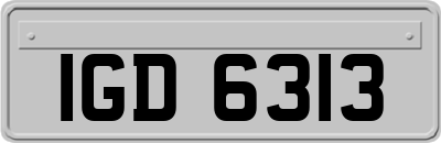 IGD6313