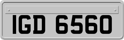 IGD6560