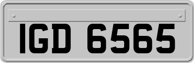 IGD6565