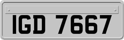 IGD7667