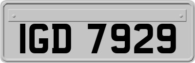 IGD7929