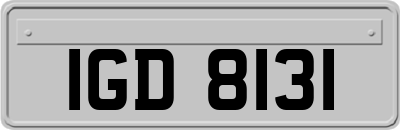 IGD8131