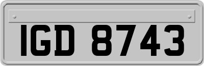 IGD8743