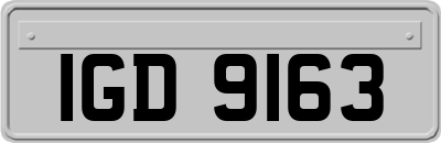 IGD9163