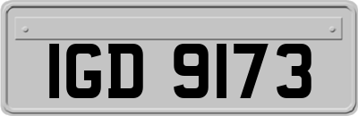 IGD9173