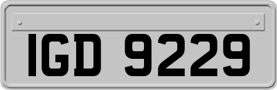 IGD9229