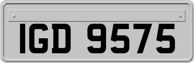 IGD9575