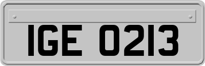 IGE0213