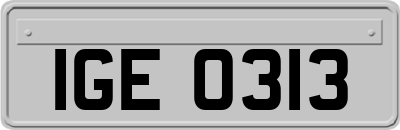 IGE0313