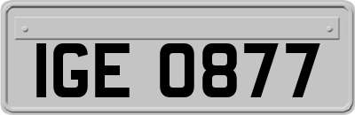 IGE0877