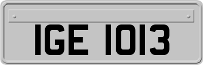 IGE1013