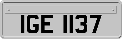 IGE1137