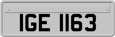 IGE1163
