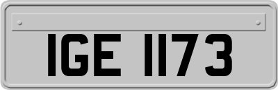IGE1173
