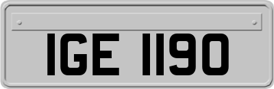 IGE1190
