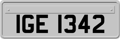 IGE1342