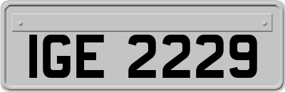 IGE2229