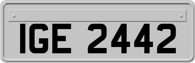 IGE2442
