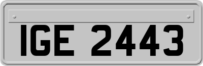 IGE2443