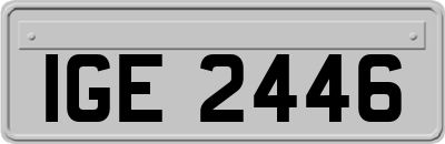 IGE2446