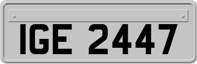 IGE2447