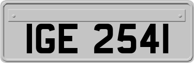 IGE2541