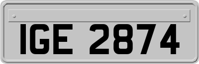 IGE2874