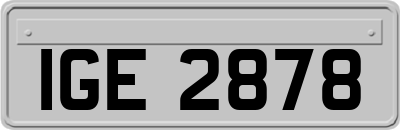 IGE2878