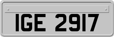 IGE2917