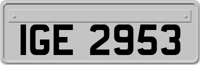 IGE2953