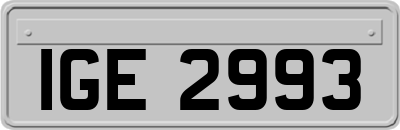 IGE2993
