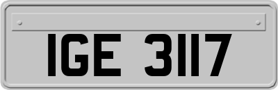 IGE3117