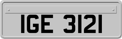 IGE3121