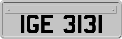 IGE3131