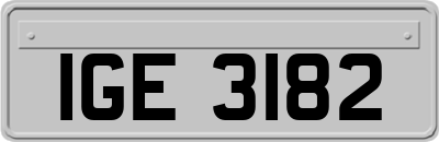 IGE3182