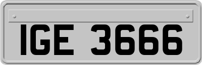 IGE3666
