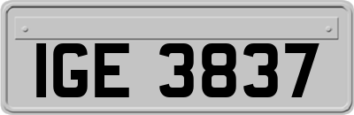 IGE3837