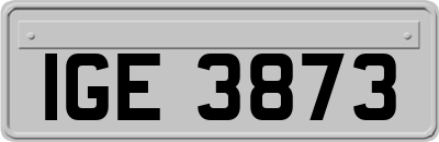IGE3873