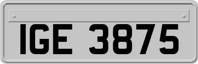 IGE3875