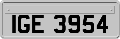 IGE3954