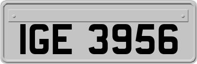 IGE3956