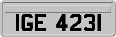 IGE4231