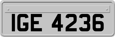 IGE4236