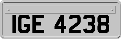 IGE4238