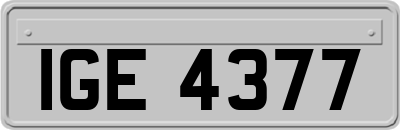 IGE4377