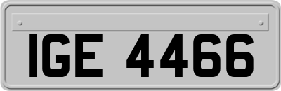 IGE4466