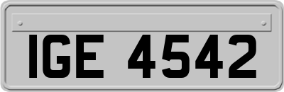 IGE4542