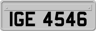 IGE4546
