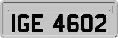 IGE4602