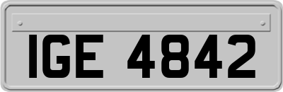 IGE4842